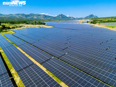  Doanh nghiệp điện mặt trời kêu cứu vì bị cắt giảm công suất