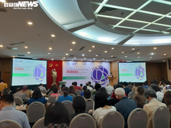 Hai năm thực thi CPTPP: Cứ 4 doanh nghiệp Việt, thì chỉ 1 hưởng ‘trái ngọt’