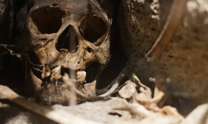 Phát hiện DNA cổ xưa nhất trên thế giới