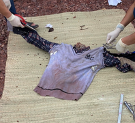 Truy tìm tung tích nạn nhân từ bộ xương không còn nguyên vẹn dạt vào bãi biển