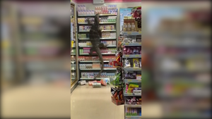 Video: Kỳ đà 'Godzilla' dài hơn 2m đột nhập siêu thị ở Thái Lan