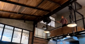 Video: Khỉ gây náo loạn trong nhà hàng Thái Lan