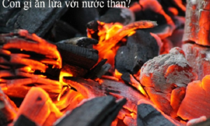 Đố mẹo 5 giây: Con gì ăn lửa với nước than?