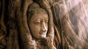 Video: Những đền, chùa bí ẩn ở cố đô Thái Lan