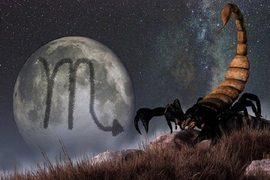 12 cung hoàng đạo ngày 14/4: Kim Ngưu lục đục tình cảm, Bọ Cạp gặp vận may 