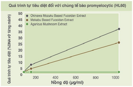 Lợi ích bất ngờ từ tảo nâu Okinawa Mozuku với sức khỏe