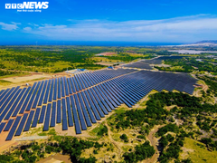  Bị phản ánh quây bao hồ thủy lợi, chủ đầu tư điện mặt trời Bàu Ngứ nói gì?