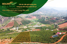 Vẽ đất nền trên giấy, thu hàng tỷ đồng từ đồi cà phê mang tên Golden Hillside?