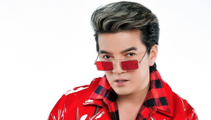 Đàm Vĩnh Hưng: 'Tôi biết rõ mình có Vũ Hà cho đến già, đến chết'