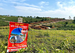 Bộ TN&MT thanh tra thực trạng xẻ đồi, phân lô bán nền tràn lan tại Lâm Đồng