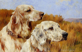 Dự đoán 12 con giáp ngày 18/4: Thìn được cầu hôn, Tuất tăng thu nhập