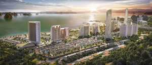 Cổ phiếu CEO bị đưa vào diện bị cảnh báo