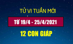 Dự đoán 12 con giáp tuần 19/4 - 25/4: Tý kinh doanh thuận lợi, Dậu nhận thưởng