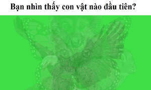 Trắc nghiệm vui đoán tính cách: Bạn nhìn thấy con vật gì đầu tiên?