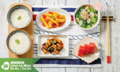 Cán bộ Y tế Cần Thơ tiếp cận Phần mềm Xây dựng thực đơn dinh dưỡng cho mẹ và bé