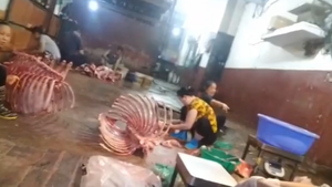 Lò mổ gia súc không phép hành hạ dân Hà Nội suốt nhiều năm