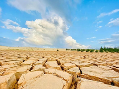 Phát hiện chốn sống ảo 'Sa mạc đất nứt' mới, vừa độc vừa đẹp ngay tại Việt Nam