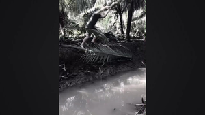 Clip: Trổ tài quăng dừa, chàng trai tự quăng mình xuống nước 