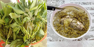 Canh rau sắn chua nấu cá - Đặc sản bình dị của người dân đất Tổ Vua Hùng