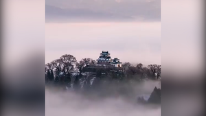 Video: Chiêm ngưỡng lâu đài cổ giữa biển mây ở Nhật Bản