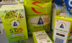Gạo ngon nhất thế giới ST25 bị 4 doanh nghiệp ngoại đăng ký thương hiệu ở Mỹ 