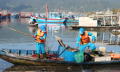 Ô nhiễm tại âu thuyền Thọ Quang: Giám đốc Sở TN-MT Đà Nẵng nói gì?