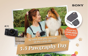 Tưng bừng Pawgraphy 5.5: Ngày hội nhiếp ảnh và quay phim thú cưng 
