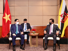 Thủ tướng Phạm Minh Chính hội kiến Quốc vương Brunei