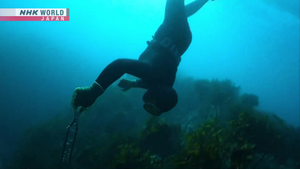 Video: Cụ bà lặn biển mò ngọc trai ở Nhật Bản
