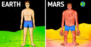  Thân hình bạn trông sẽ thế nào nếu sống ở hành tinh khác?