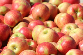 Algeria cấm nhập 13 loại trái cây: Việt Nam có bị ảnh hưởng?