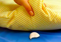 Có nên để tỏi dưới gối khi ngủ?