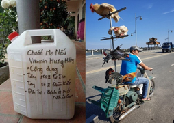 'Nhà tôi 3 đời trị... nhát gan' và loạt ảnh khó đỡ có thể gây nghẹn vì hài