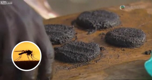 Bánh muỗi: Món ăn ‘kinh dị’ của người châu Phi, bổ gấp 7 lần thịt bò