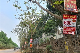 Tổng cục Quản lý Đất đai: Sốt đất đã hạ nhiệt