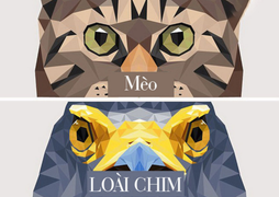 Thế giới qua góc nhìn của 9 loài động vật: 'Boss' mèo mù màu, chim thì ngược lại