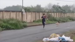 Clip: Chàng trai chạy tóe khói vì trêu chó