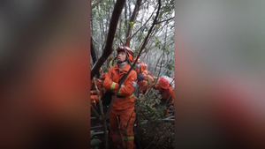 Video: Xúc động hình ảnh lính cứu hỏa dựa cây ngủ gật trong rừng
