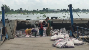 Bộ đội Biên phòng cứu cặp vợ chồng bị lật ghe trên sông Hậu