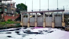 Sông Cầu tiếp tục bị nước thải ô nhiễm đầu độc: 'Không xả thì dân cũng chết'