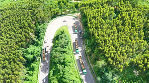 THILOGI góp phần mang nông sản Việt ra thế giới