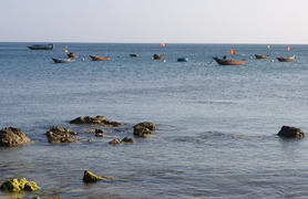 Hội Nghề cá Việt Nam phản đối Trung Quốc đơn phương cấm đánh bắt cá ở Biển Đông