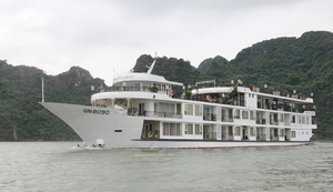 Quảng Ninh tạm dừng tham quan vịnh Hạ Long từ 12h hôm nay