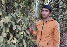 Lời kể của người công nhân bỗng dưng làm giám đốc công ty nợ thuế cả tỷ đồng