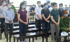 Xử đại án Nhật Cường: Các bị cáo bật khóc nói lời sau cùng