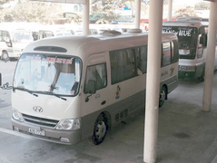 Tạm dừng hoạt động vận tải hành khách tuyến Huế - Đà Nẵng