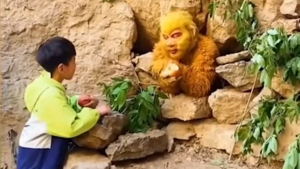 Video: 'Tôn Ngộ Không' bị giam dưới chân núi đợi du khách cho ăn