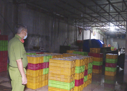 Vũng Tàu: Hãi hùng cơ sở ngâm cá bằng hóa chất độc hại