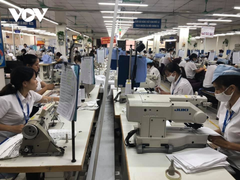 Hai năm thực thi CPTPP: Doanh nghiệp vẫn 'mù mờ' thông tin