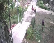 Clip: Màn trộm gà 'đổi trắng thay đen' trong phút chốc